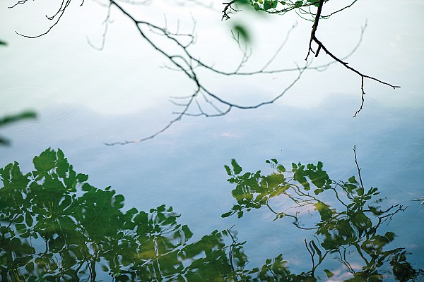 Dossier Gemeinschaftsarbeiten Wetz/Kreienbühl