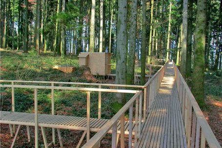 Waldprojekt Tempelhof Uffikon (2003-2010)