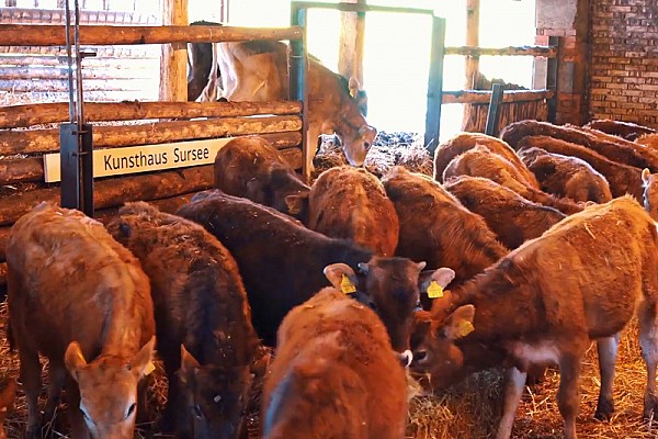 Aus der Stube, in die Stube