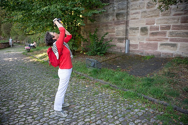 Niccel Steinberger