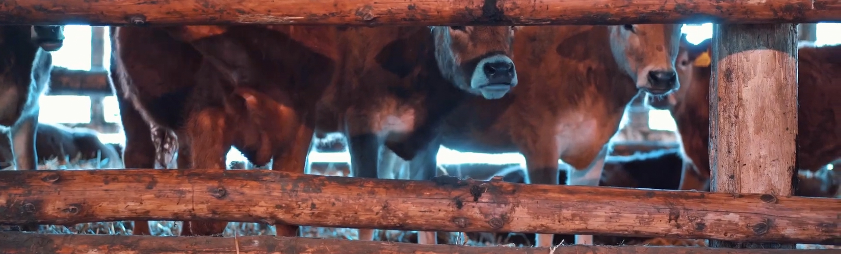 Kunsthaus Sursee ZWEI