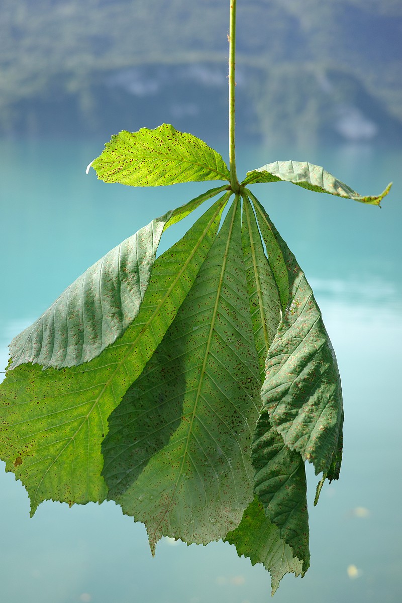 Stefanie Pretnar, LUKS, Kantonsspital Luzern, «Towards A State Of Relax», Frauenklinik Luzern