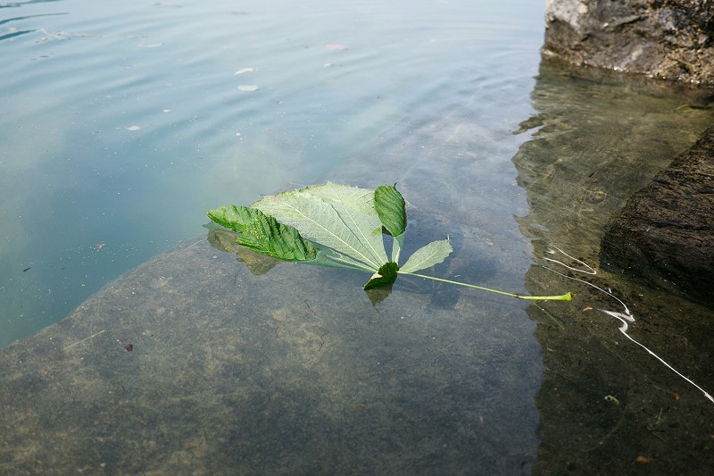 Stefanie Pretnar, LUKS, Kantonsspital Luzern, «Towards A State Of Relax», Frauenklinik Luzern