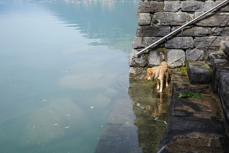 Stefanie Pretnar, LUKS, Kantonsspital Luzern, «Towards A State Of Relax», Frauenklinik Luzern